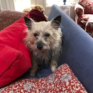 Meet your Posher, Linda